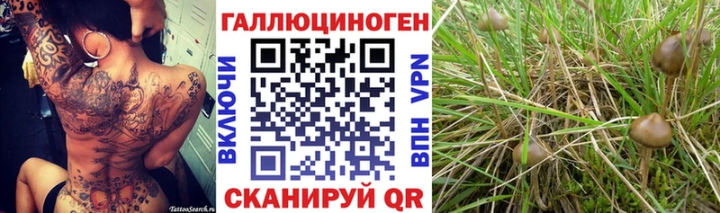 Галлюциногенные грибы Cubensis Каменск-Уральский